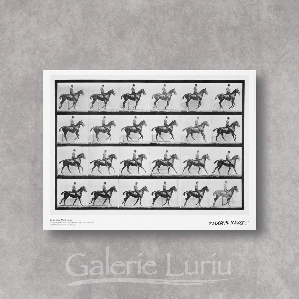 エドワード・マイブリッジ